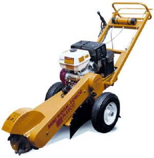 Rental store for grinder stump 12 inch in STOREAREA2